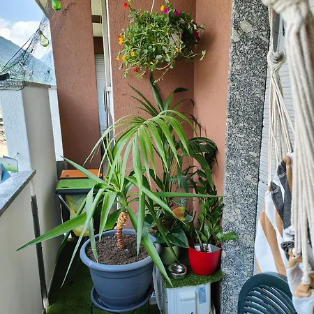 Alfiumea Apartmán Tirano