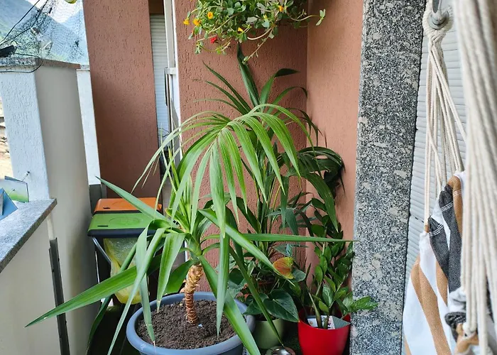 Alfiumea Appartement Tirano