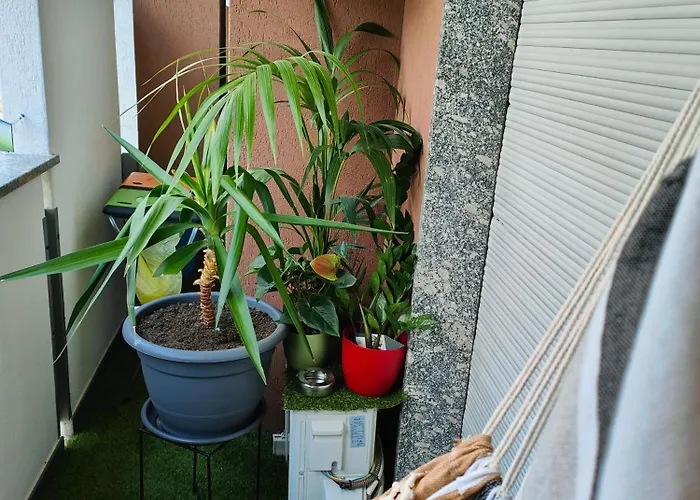 Appartement Alfiumea Tirano