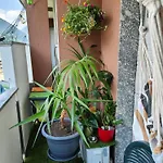 Alfiumea Apartament Tirano